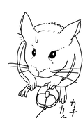 ぽぽぽぽp