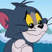 WhatTheCatDoin