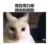 孩子们开饭了