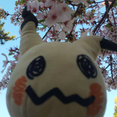 <ミミッキュ!!