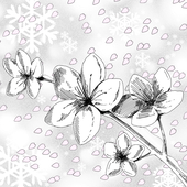 冬桜