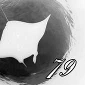 mantaray79