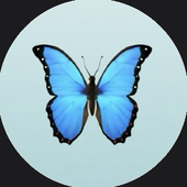 mp