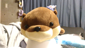 花霞らち