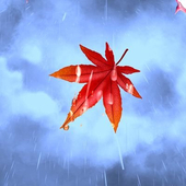 リポート/雨