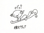 鷦鷯