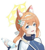 灰狐狸Grey