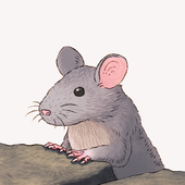 ココナット