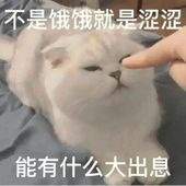 李大咩