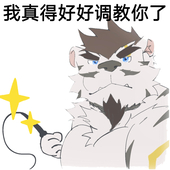Torasamurai