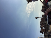 醤油