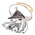 knt