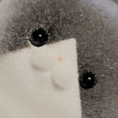 覚