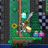 苹果hh