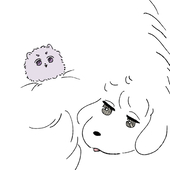 たるお