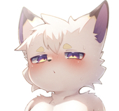SINI(シニ)