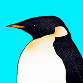 Eringimo