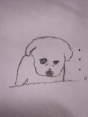 魁