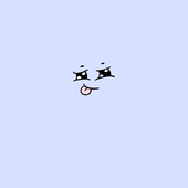 うなぎ座