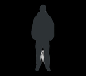 Guy