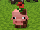 1164