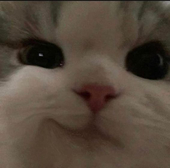 Jarwei