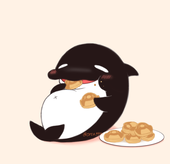 海兎