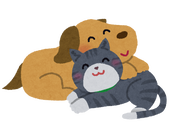 かい