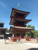 西野マコト