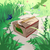 springbox