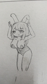 写真のチビ