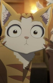 Meww