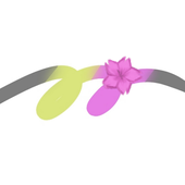 菊桜（さきく）