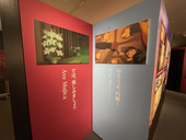 佐藤砂糖