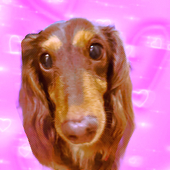 ゆな