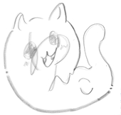 わんこわんこ