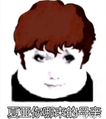 NanZi