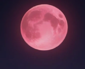 RedMoon
