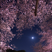 灯り(ともり)