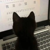 怯