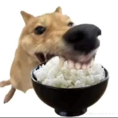卟凡