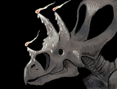 Diplostraca