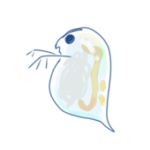 排他的微生物