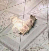 ギ