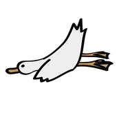 DoDo🦤