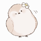 楓