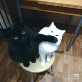 小溺