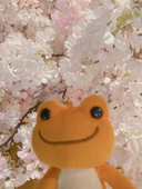 不老不死オタク