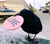 justsilentcrow