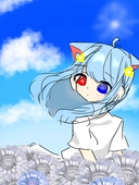 海の菜の花/🍀